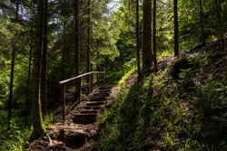 Haslacher Wald- u. Erlebnispfad Bächlewald