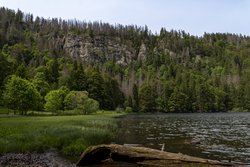 Auf geht’s zur Grünhütte