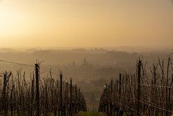 Herbstwanderung in Ulm