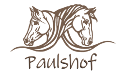 Pferdefreunde Paulshof Renchtal e.V.