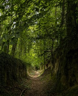 Nesselrieder Sagenrundweg