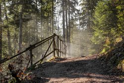Wanderung für Ausgeschlafene