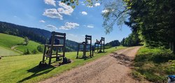 Zweitägige Wanderung rund ums Wolftal